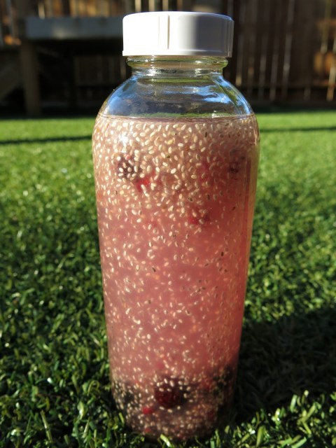 Berry Chia Coconut Water Fruit Infused Chia Coconut Water