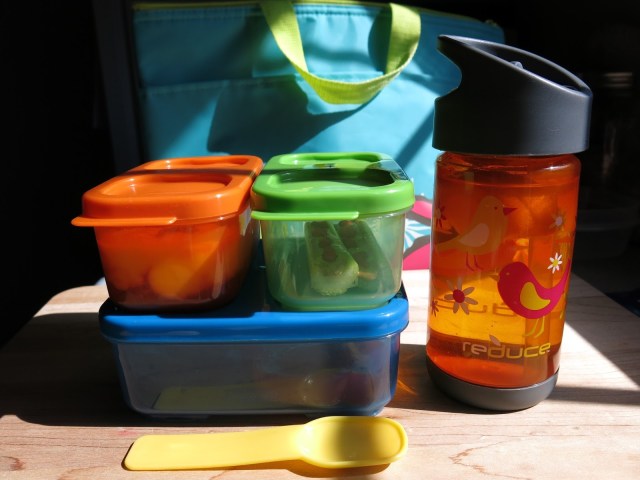 Packed Lunch for Kids