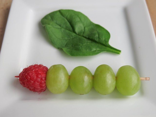 Very Healthy Caterpillar