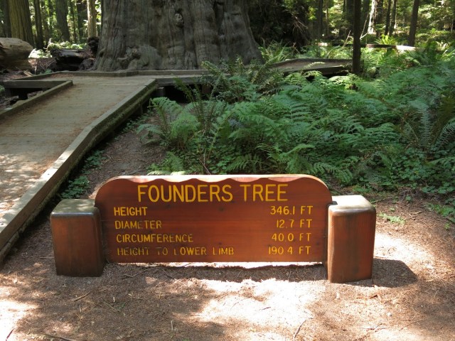 Rounders Tree Sign