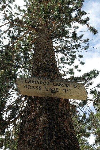 Lamarck Lakes Trail