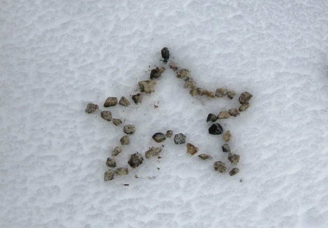 Onion Valley Star Onion Valley Star