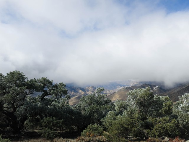 The View Clears The View Clears