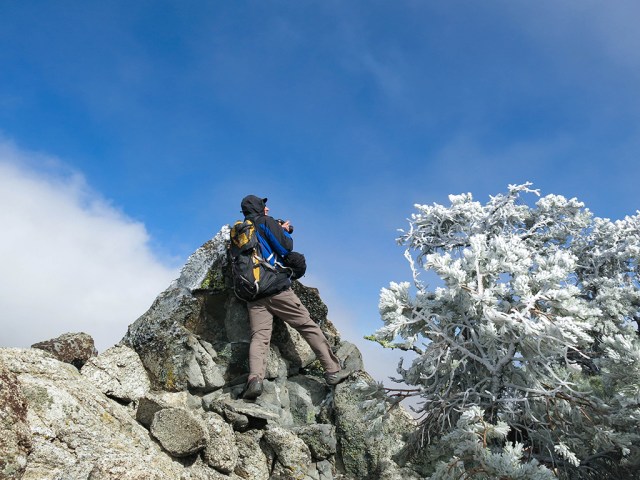 Capturing the View Capturing the View