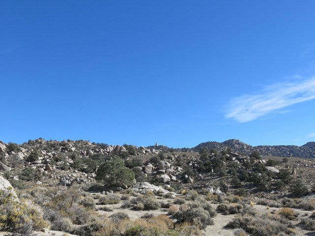 Winnedumah in Distance