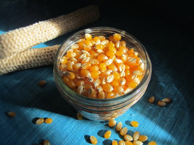 Organic Popping Corn