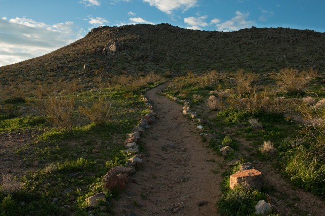 Green Desert Trail