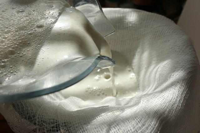 Straining Milk