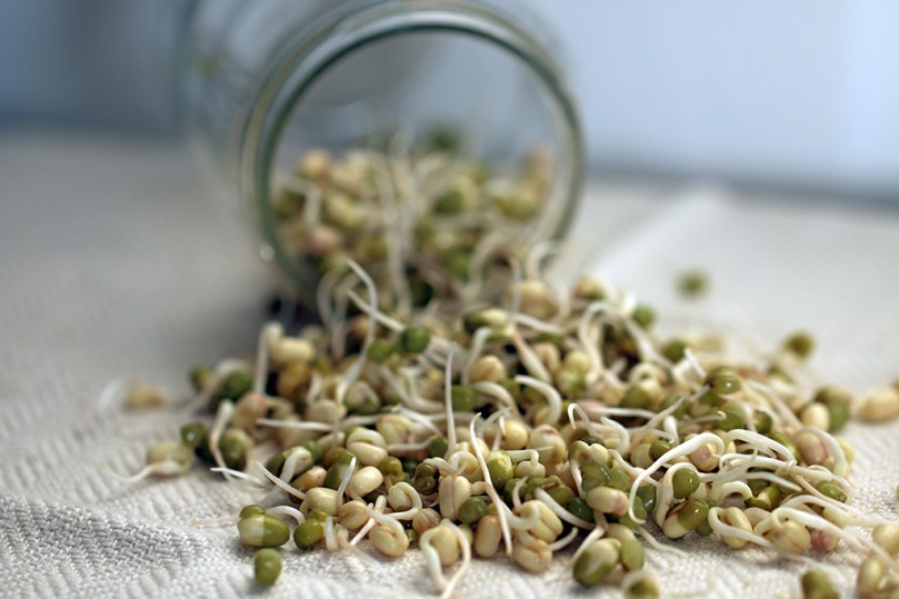mung-bean-sprouts