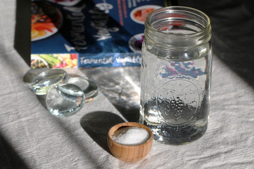 fermented-vegetables-book2