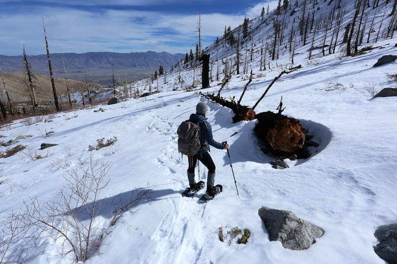 snowshoeing2
