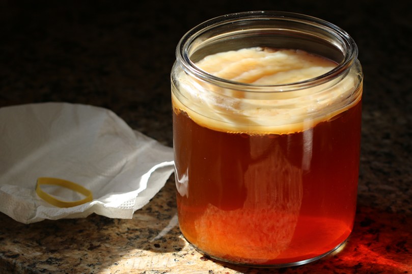 baby-scoby2