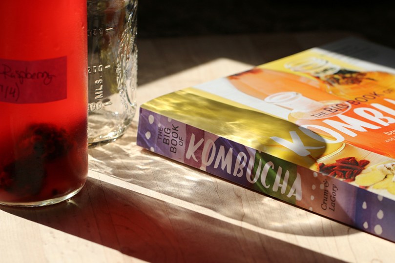 big-book-of-kombucha2
