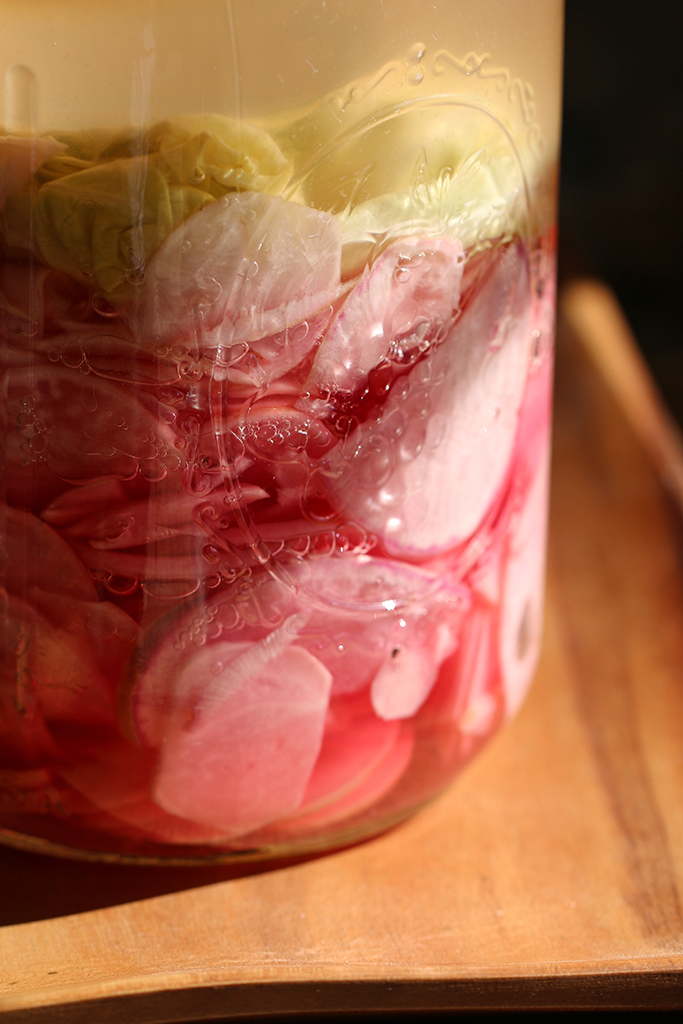 radish-pickle-ferment